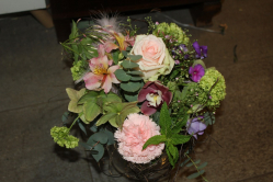 Strauss rosa (ausgeliefert in Zäziwil am 3. Mai 2013)