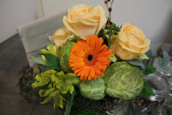 Strauss orange apricot (Ausgeliefert in Grosshöchstetten am 1. November 2013)
