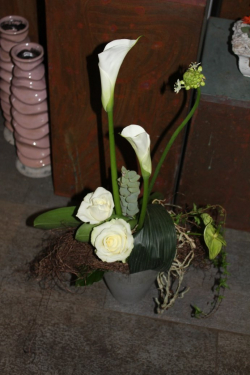 Strauss weiss (ausgeliefert in Arni am 12. Mai 2015)