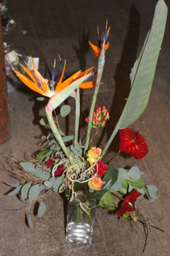 Strauss exotisch (ausgeliefert in Münsingen am 26. Mai 2014)