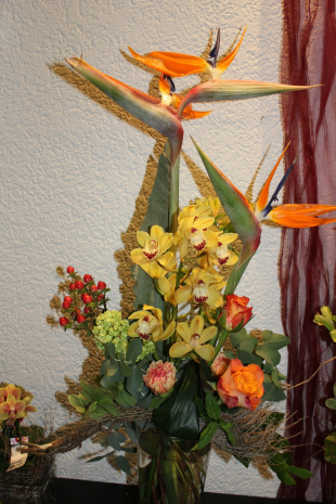 Strauss exotisch 75.-
