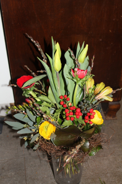 Strauss leuchtend (ausgeliefert am 11. Februar 2013 in Grosshöchstetten)