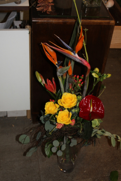 Strelizienstrauss (ausgeliefert am 1. März 2013 in Mirchel)