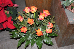 Rosenstrauss orange (ausgeliefert in Münsingen am 29. Dezember 2012)
