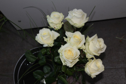 Weisse Rosen mit Gras (ausgeliefert in Grosshöchstetten am 19. Februar 2015)