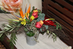 Strauss quer (ausgeliefert in Grosshöchstetten am 31. Dezember 2013)