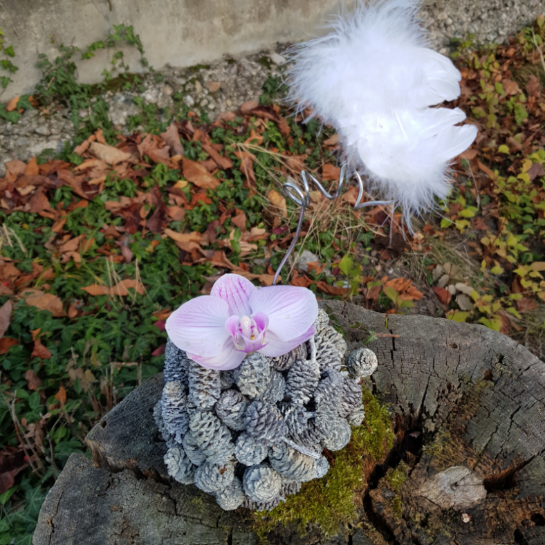 Tannenzapfenkugel-mit-phalenopsis-Bluete.png