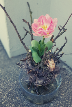 Tisch-Deoration-mit-Tulpe.png