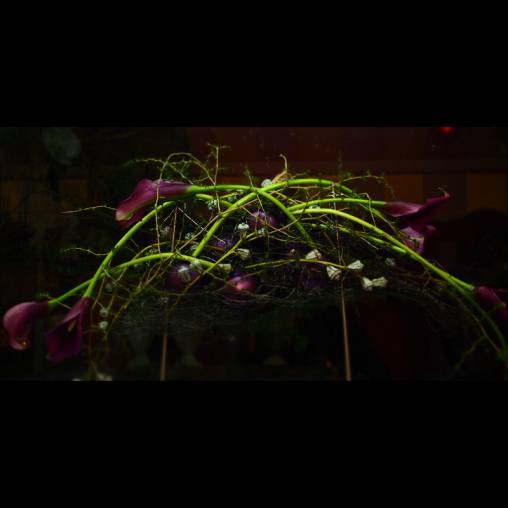 Tischdekoration-vilolette-Calla-Blueten-.png