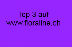 Top_3_Webseite.png