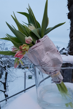 Tulpen-Bund-selber-machen-DIY-Anleizung-Fruehlings-Dekoration.png
