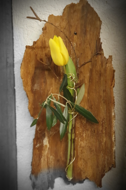 Tulpen-Deko-mit-einer-Rinde.png