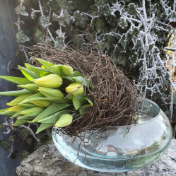 Tulpen-Fruehling-gelb-holz-dekoration.png