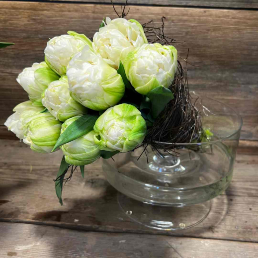 Tulpen-Fruehling-weiss.jpg