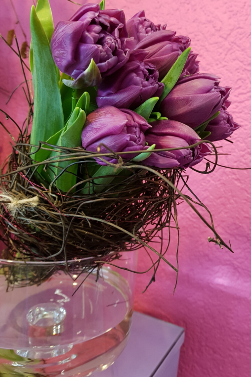 Tulpen-Violett-Tulpenbund.png