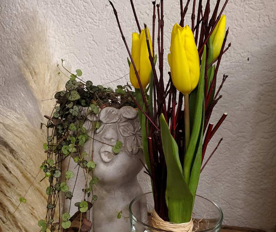 Tulpen-gelb-kopf.jpg