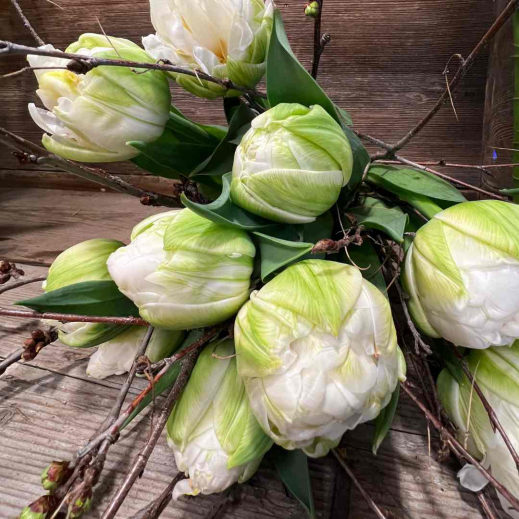 Tulpen-locker-DIY.jpg