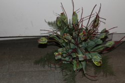 Tulpenstrauss rot (ausgeliefert in Konolfingen am 23. März 2013)