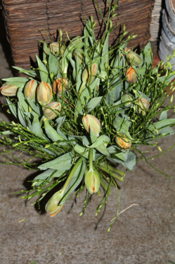 Tulpenstrauss ornage (ausgeliefert am 25. März 2015 in Grosshöchstetten)