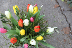 Tulpenstrauss ausgeliefert in Mirchel