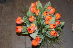 Tulpenstrauss orange Ad Rem Tulpen (ausgeliefert in Niederhünigen am 31. März 2016)