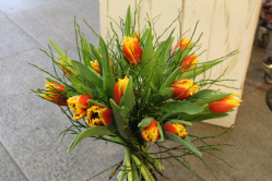 Tulpenstrauss gelb rot (ausgeliefert in Bern am 17. Februar 2016)