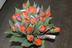Tulpenstrauss orange mit 20er Noten (ausgeliefert in Arni am 9. März 2016)