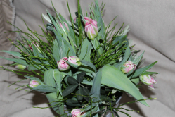 Tulpenstrauss rosa (ausgeliefert am 12. Februar in Walkringen)