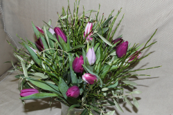 Tulpenstrauss (ausgeliefert in Grosshöchstetten am 16. Januar 2016)