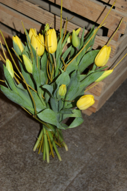 Tulpenstrauss mit gelben Tulpen (ausgeliefert in Bowil am 18. Februar 2016)