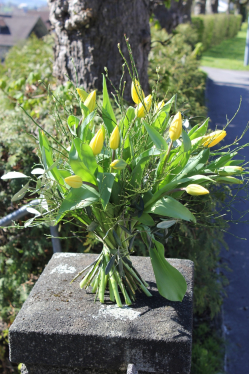 Gelber Tulpenstrauss (ausgeliefert in Grosshöchstetten am 20. April 2016)