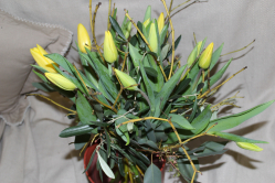Tulpenstrauss mit Strong gold Tulpen (ausgeleifert in Worb am 8. Februar 2016)