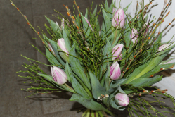 Tulpenstrauss in rosa (ausgeliefert in Niederhünigen am 30. Januar 2016)