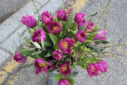Tulpenstrauss in rosa (ausgeliefert in Worb am 4. April 2016)