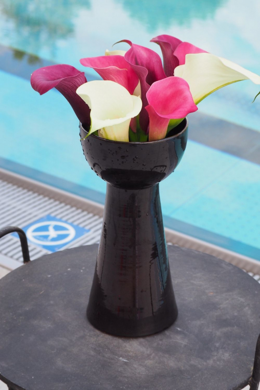 Vasen-Calla-Blumen.jpg
