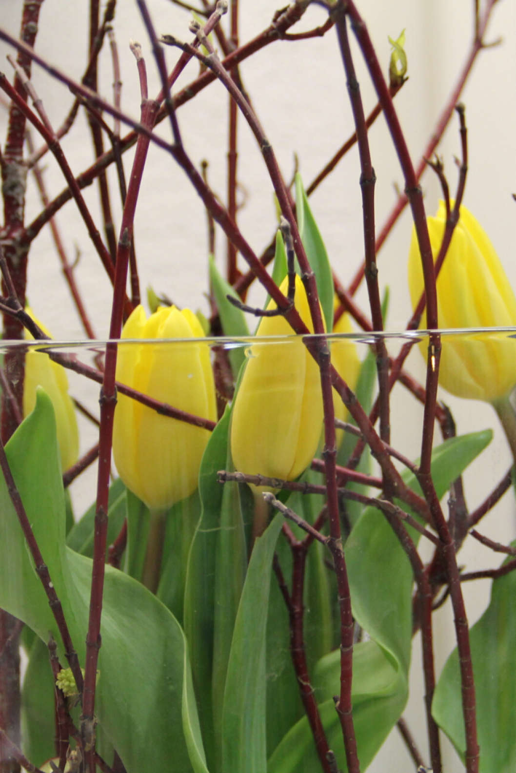 Vasen-Deko-mit-Tulpen-in-Gelb-und-Holz-Fruehlingsdekoration.png