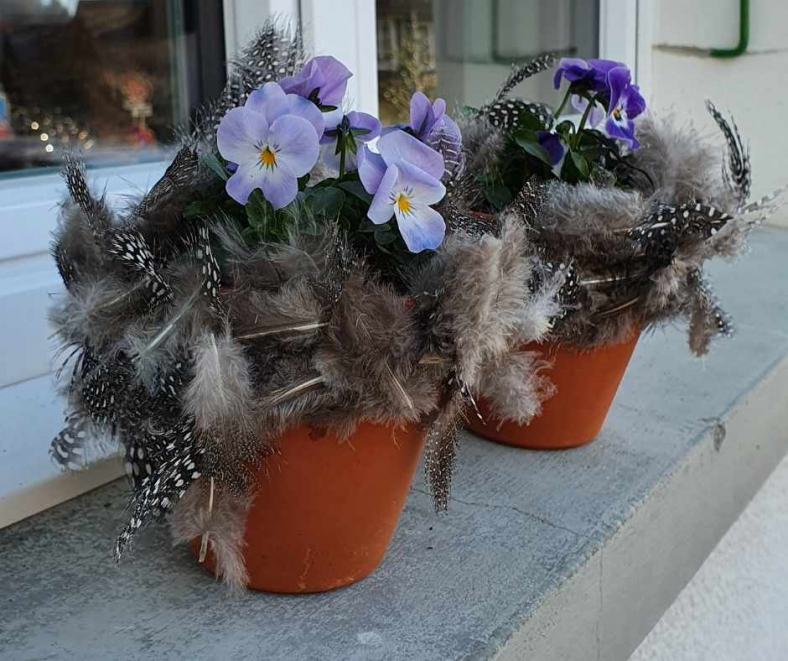 Viola-auf-Fensterbank-OSter-Deko-Idee.jpg