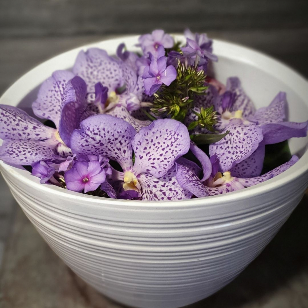 Wanda-Orchideen-Blumengesteck-.jpg