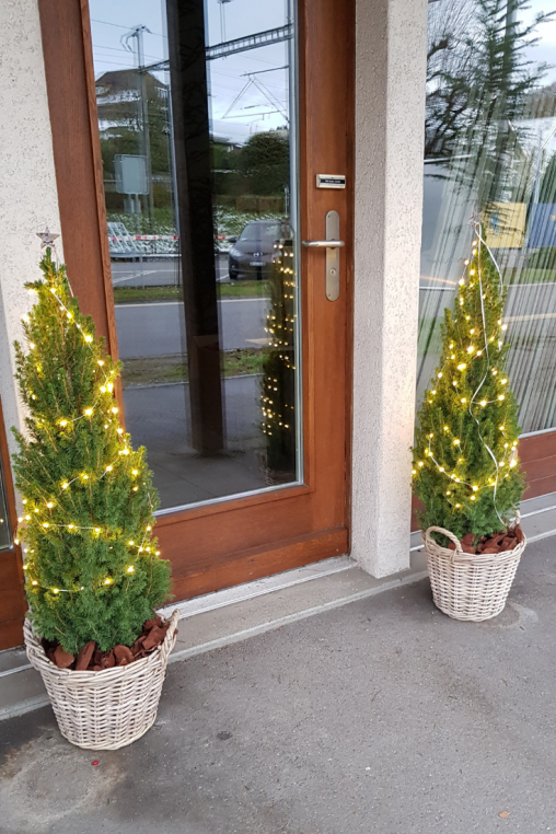 Weihnachtsbaum-Deko-Idee-Ausendeko-Lichterkette-in-Weihnachtsbaum-Deko-Idee-Klassischer-Weihnachtsbaum.png