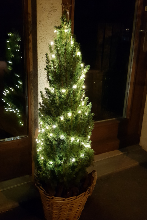 Weihnachtsbaum-im-Topf-Beleuchtung-Lichterkette-weihnachtsbaum-schlicht-dekorieren.png