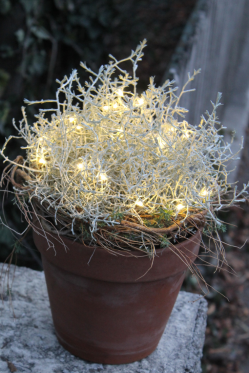 Weihnachtsdeko-Idee-mit-LED-Lichterkette-Selber-machen-DI-ANleitung.png