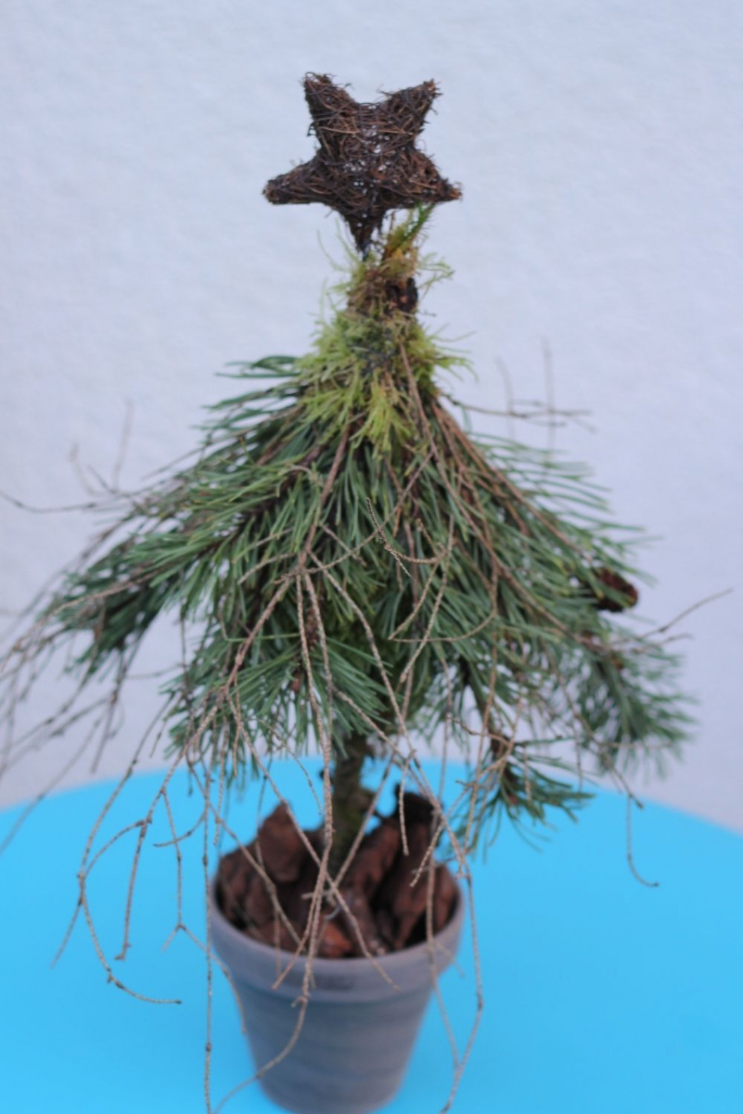 Weihznachtsbaum-aus-Zweigen-selber-machen.jpg