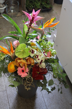 Blumenstrauss exotisch & Farbenfroh (abgeholt im Laden am 6. märz 2015 für den Weltgebettstag in Grosshöchstetten)