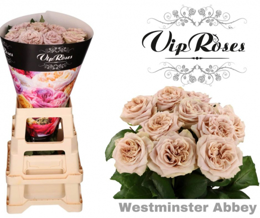West-minster-Abby.jpg