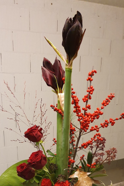Winter-Blumenstrauss-Amaryllis-rosen-in-rot.png