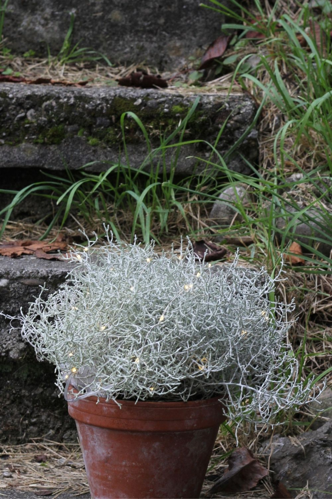 Winter-Deko-Haus-Aussendeko-Treppen-Dekoration-DIY.jpg