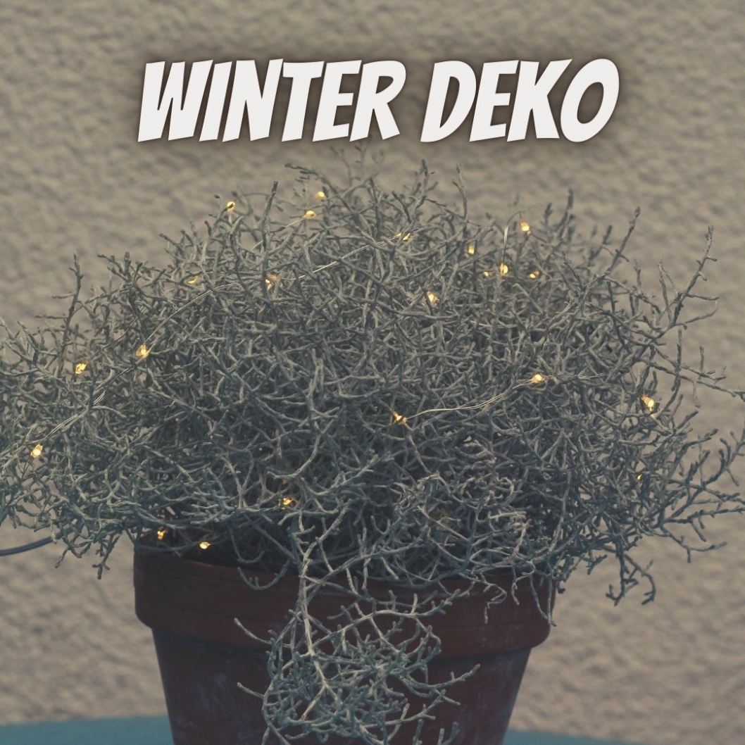 Winter-Deko-aussen.jpg