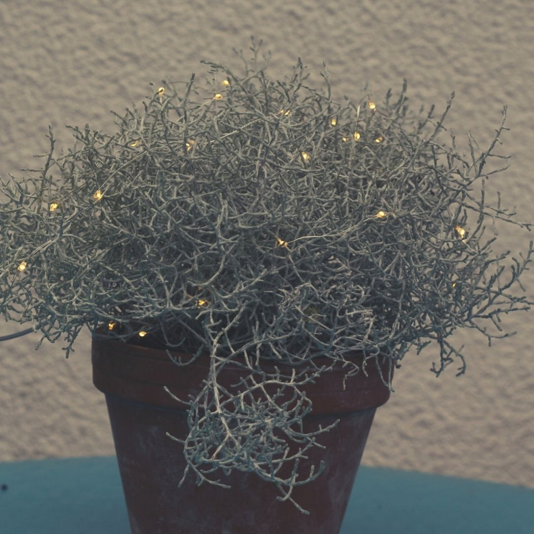 Winter-Trend-Deko-Idee-aussen-Winter-2020-LEd-lICHTERKETTE-diy-aNLEITUNG.jpg