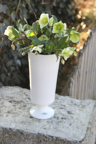Linck Keramik Vase V22 gefüllt mit Helleborus