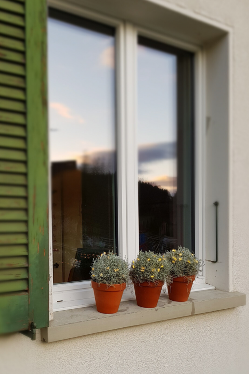 Winterdeko-Aussen-Fensterbank-Deko-DIY-Anleitung-Weihnachtsdeko.png